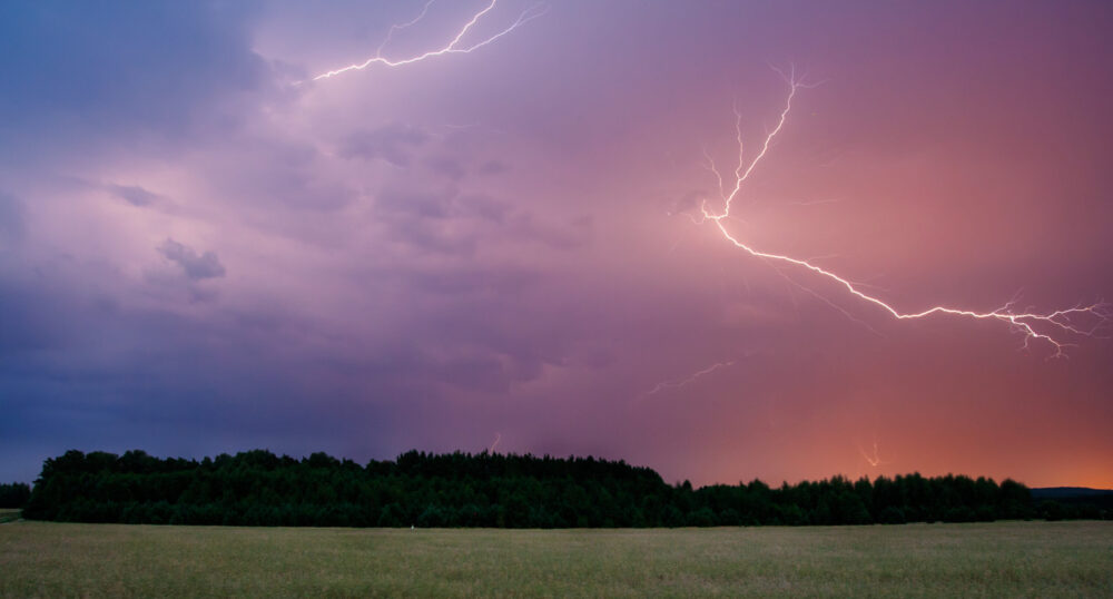 What do Animals do During Thunderstorms?